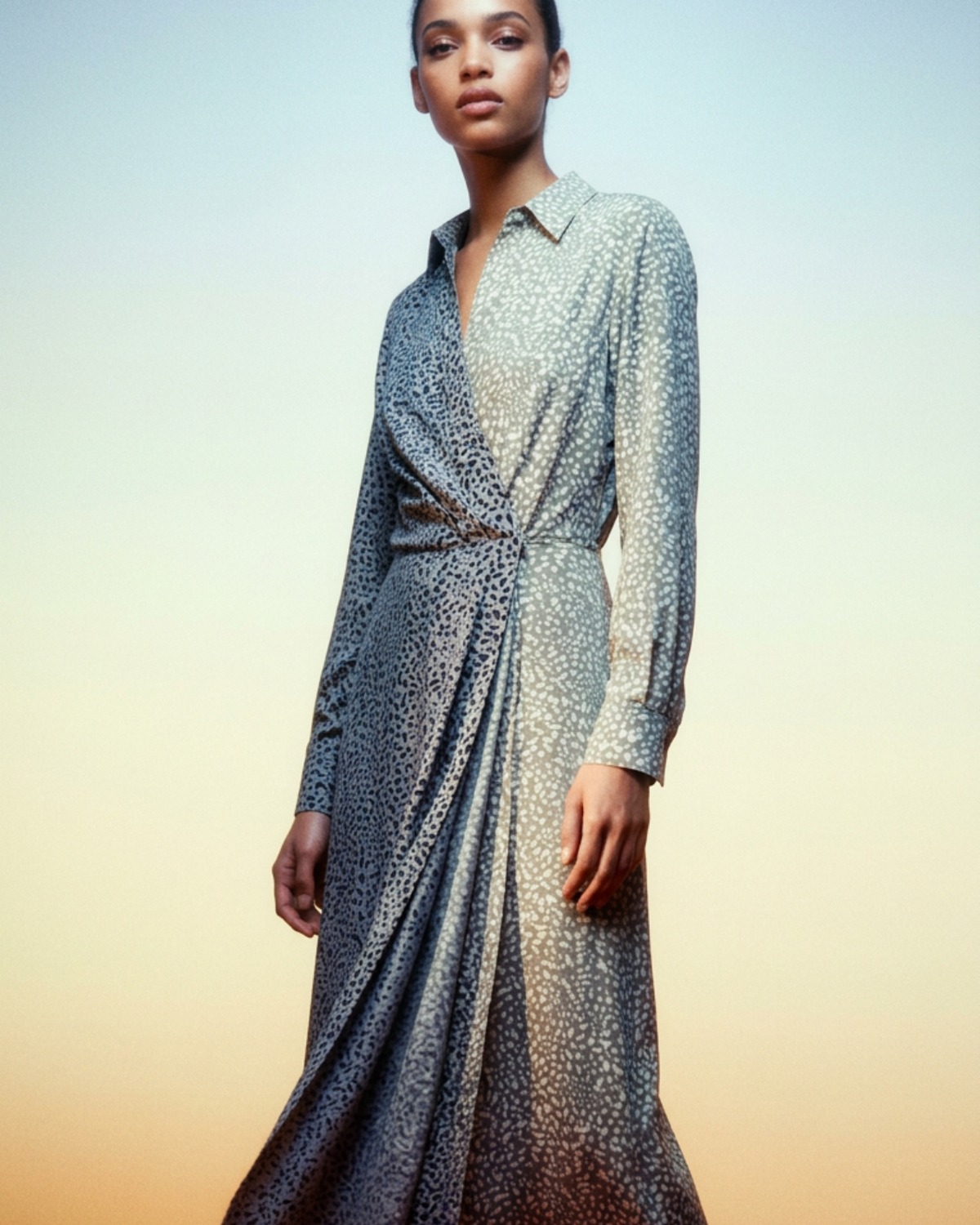 WABI-011 — Rag & Bone Collection Karen Dress (Black Multi)
