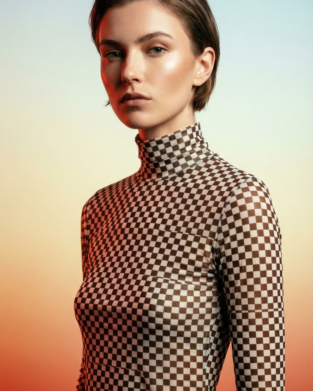 WABI-014 — NANUSHKA Harri Checked Mesh Turtleneck Top